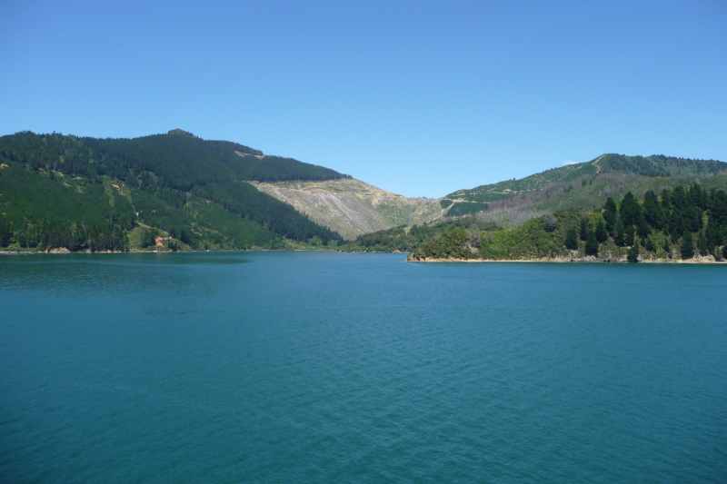 Nieuw-Zeeland 2011 - 0933